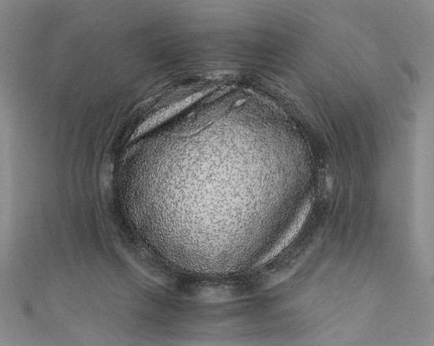 X0000110870263200907021442