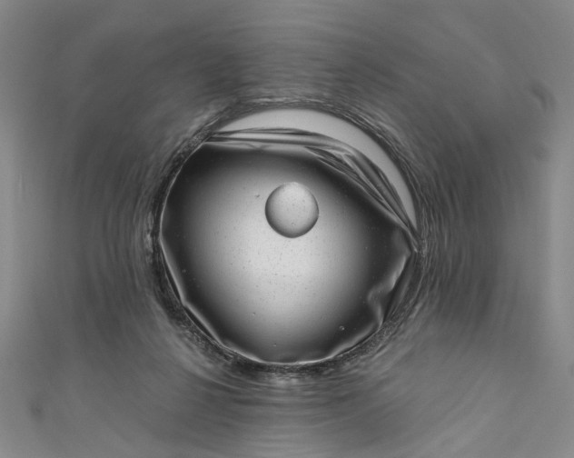 X0000110870264200907021442