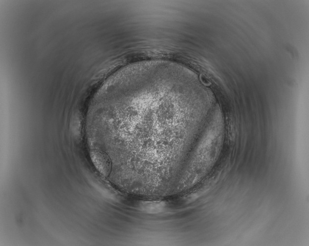 X0000110870266200907021442