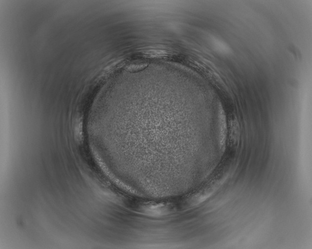 X0000110870267200907021442