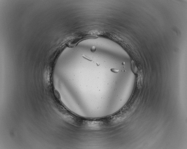 X0000110870268200907021442