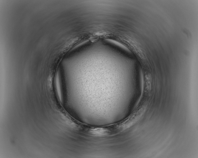 X0000110870269200907021442