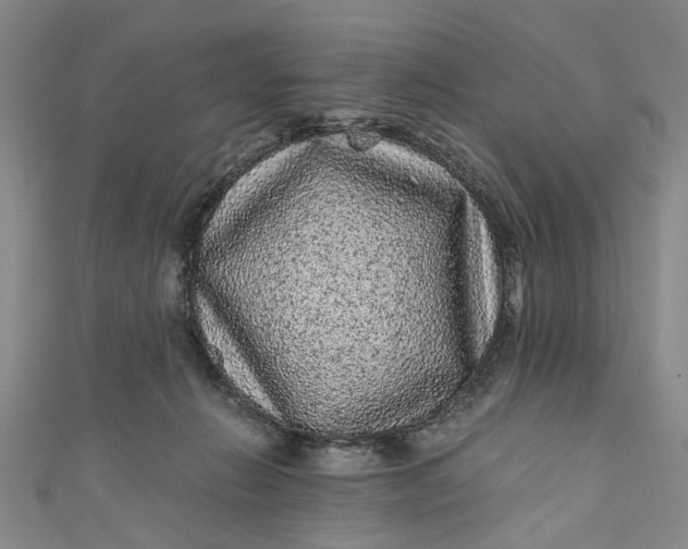 X0000110870270200907021442