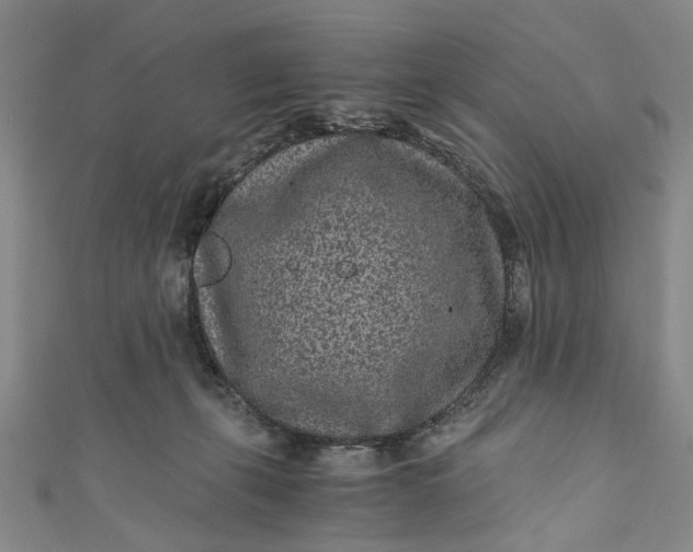 X0000110870271200907021442