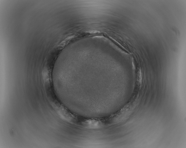 X0000110870272200907021443