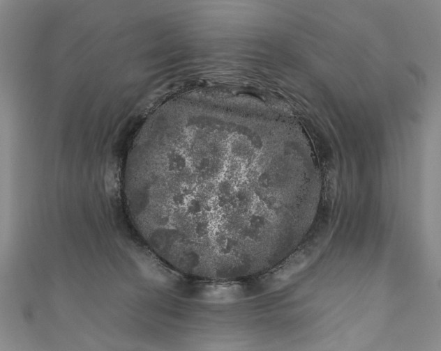 X0000110870274200907021443