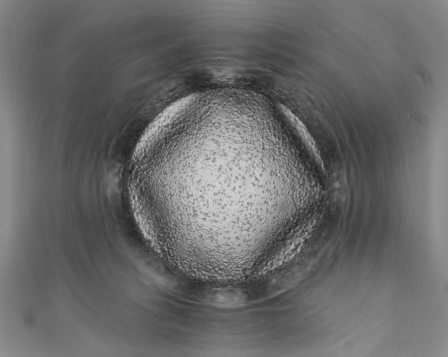 X0000110870275200907021443