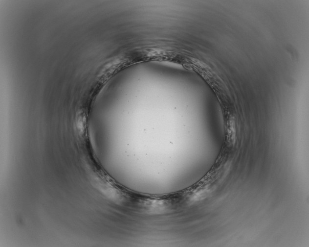 X0000110870276200907021443