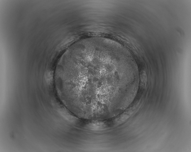 X0000110870278200907021443