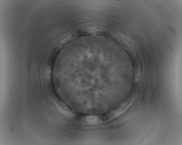 X0000110870279200907021443