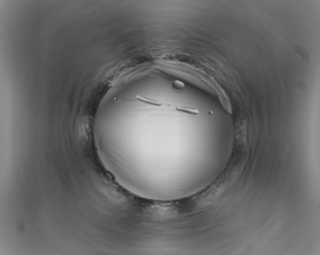 X0000110870280200907021443