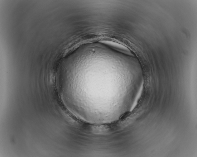 X0000110870281200907021443