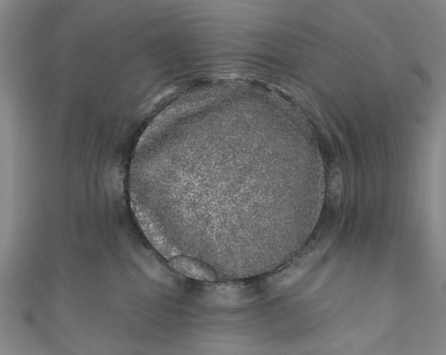 X0000110870282200907021443