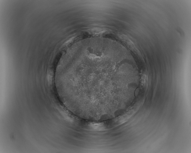 X0000110870283200907021443