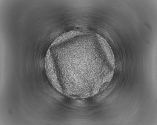 X0000110870285200907021443