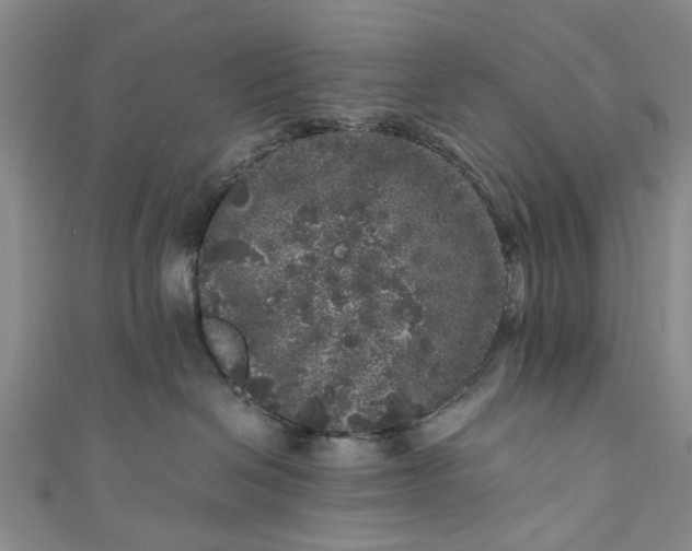 X0000110870286200907021443