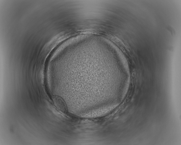 X0000110870290200907021442