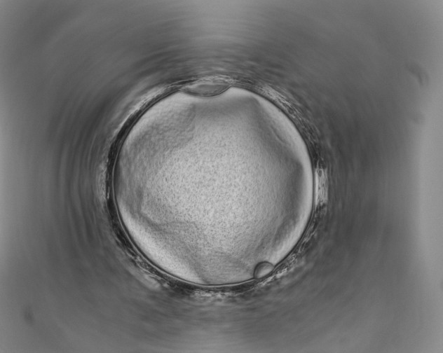 X0000110870291200907021442