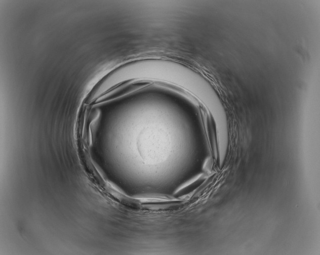 X0000110870292200907021442