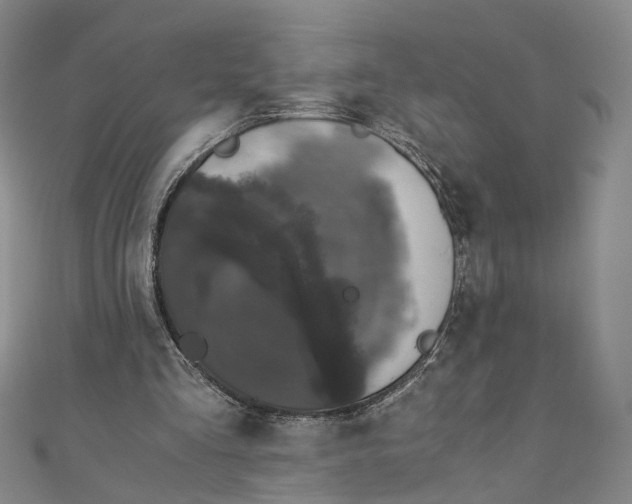 X0000110870293200907021442