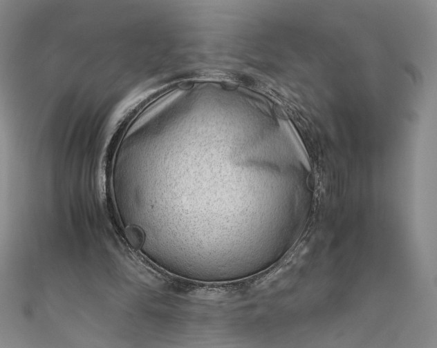 X0000110870294200907021442