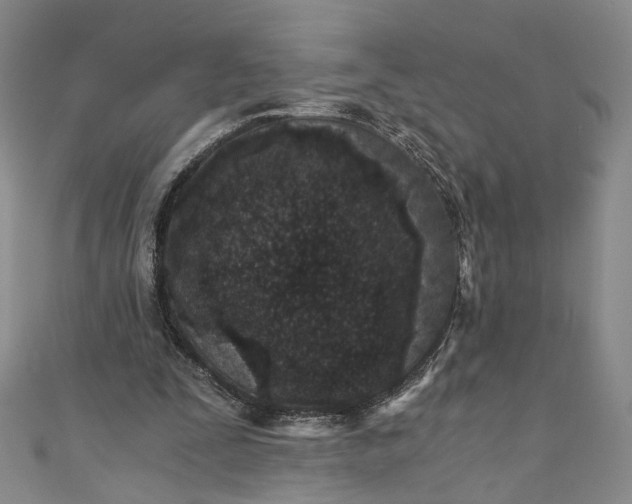 X0000110870295200907021442