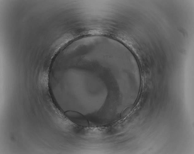 X0000110870297200907021442