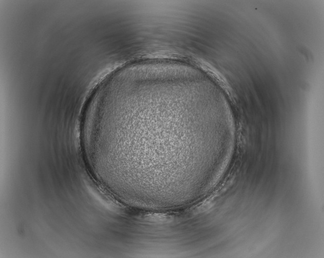 X0000110870298200907021442