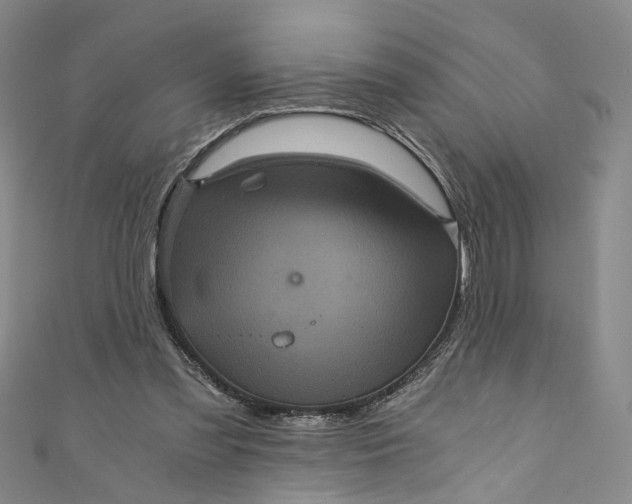 X0000110870301200907021442