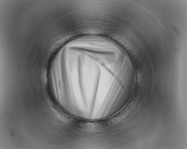 X0000110870302200907021442