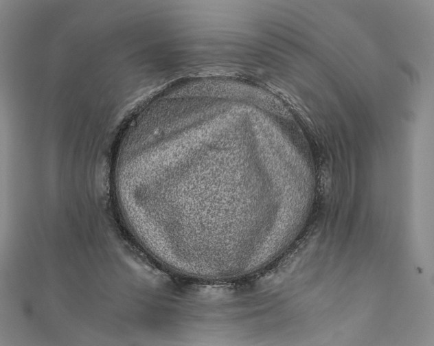 X0000110870303200907021442