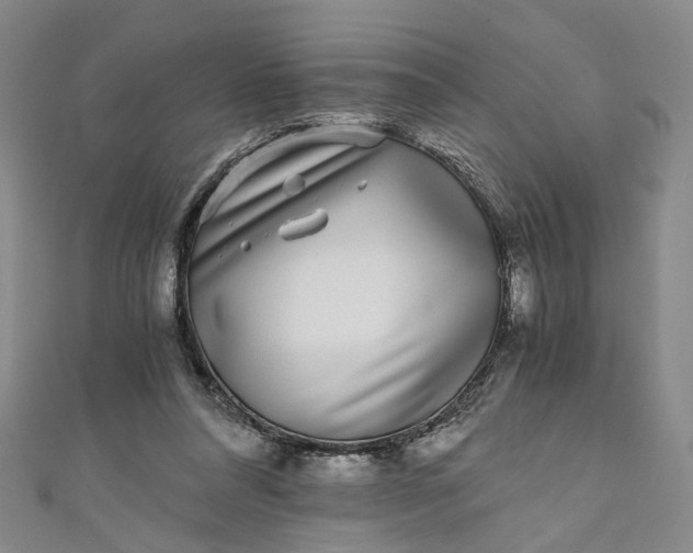 X0000110870304200907021442