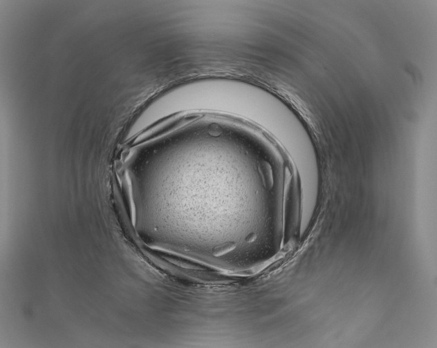 X0000110870305200907021442