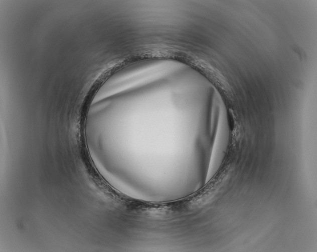 X0000110870306200907021442