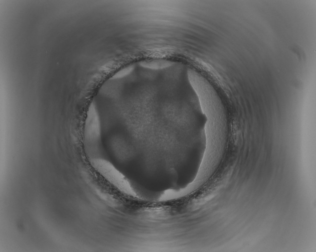 X0000110870307200907021442