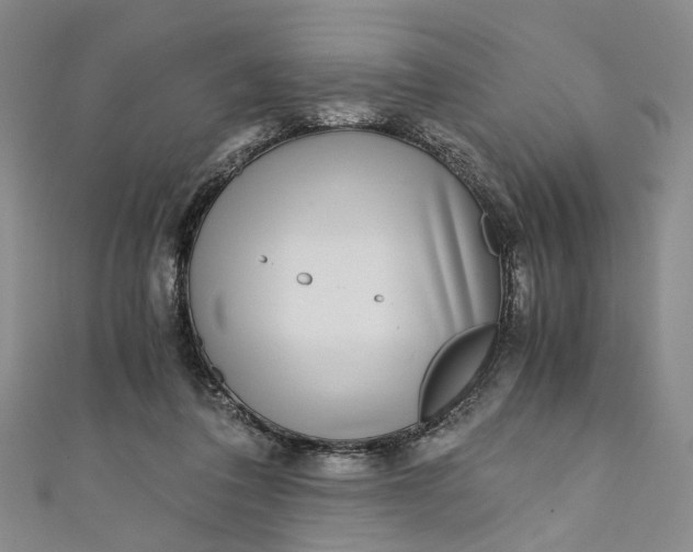 X0000110870308200907021442