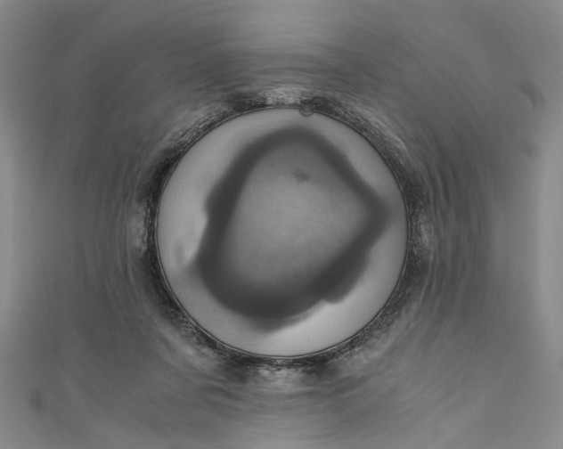 X0000110870311200907021442