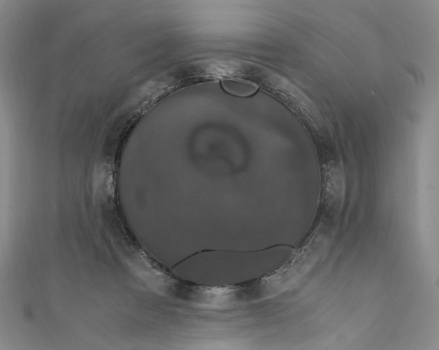 X0000110870313200907021442