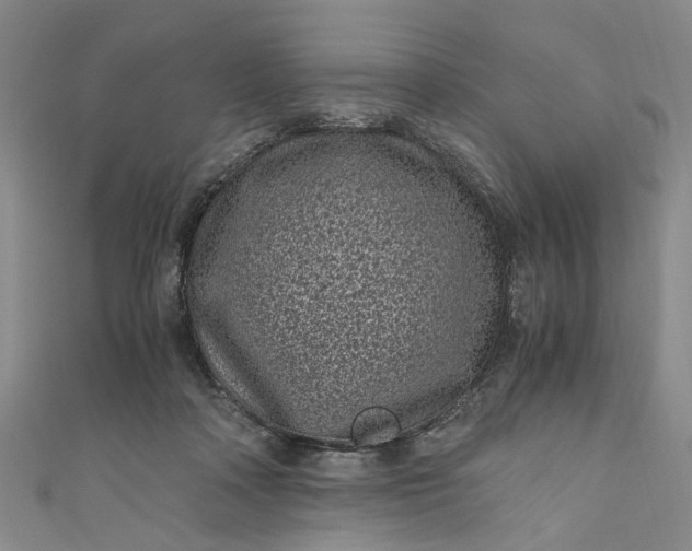 X0000110870314200907021442