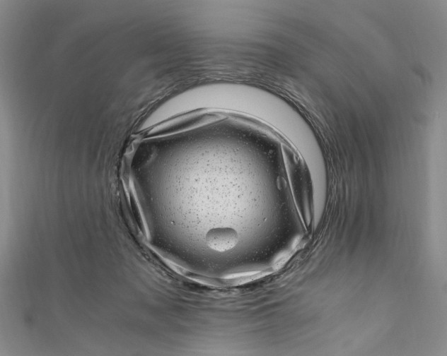 X0000110870317200907021442