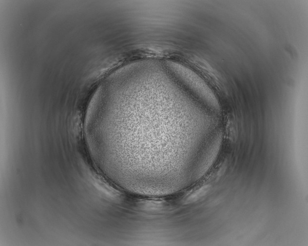 X0000110870318200907021442