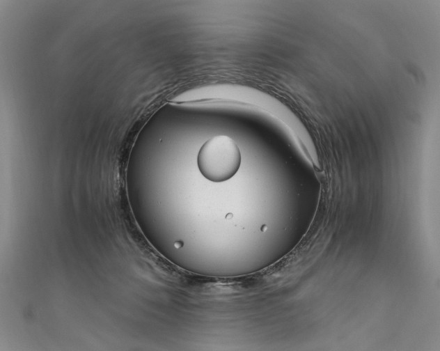 X0000110870320200907021442