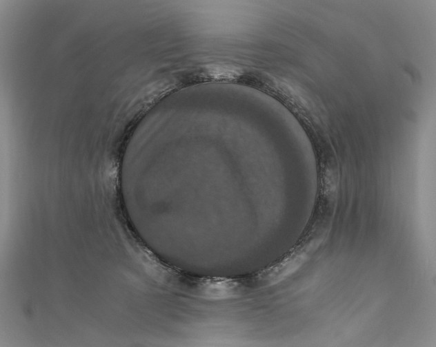 X0000110870321200907021442