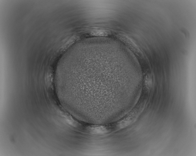 X0000110870322200907021442