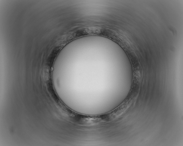 X0000110870323200907021442