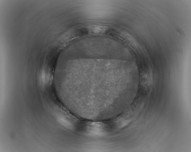 X0000110870324200907021442