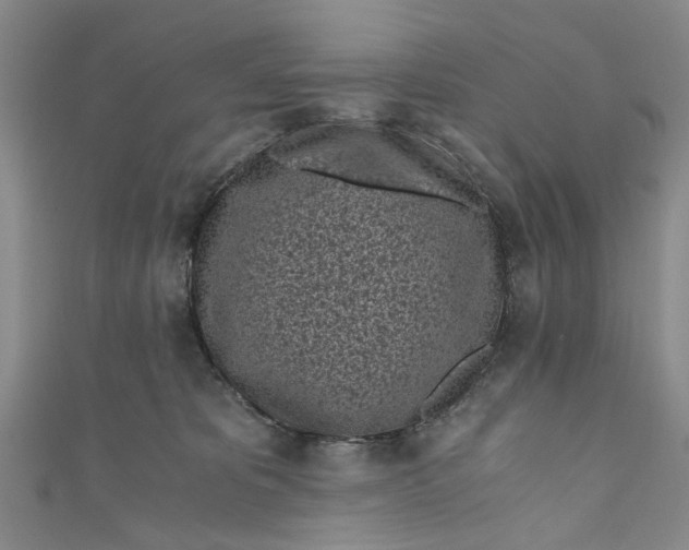 X0000110870325200907021442