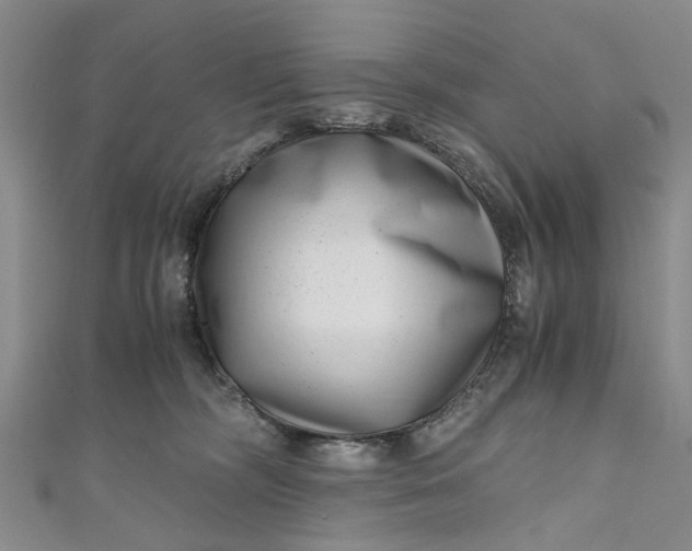 X0000110870326200907021442