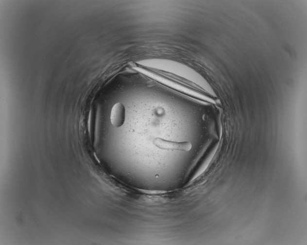 X0000110870327200907021442