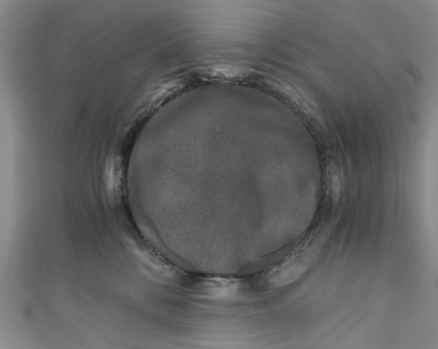 X0000110870328200907021442